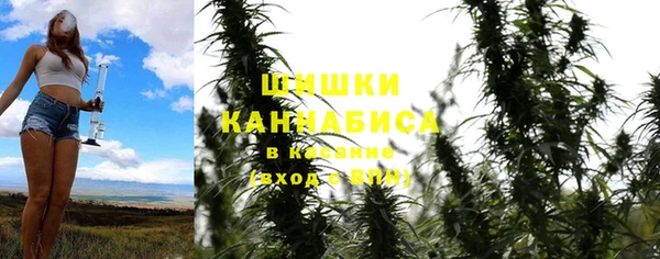 МДПВ Абаза