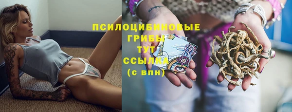 МДПВ Абаза